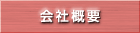 ЊTv